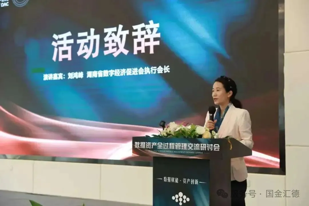 国金汇德董事长陈冬受邀出席首届湖南省数据资产全过程管理交流峰会并发表主旨演讲插图1